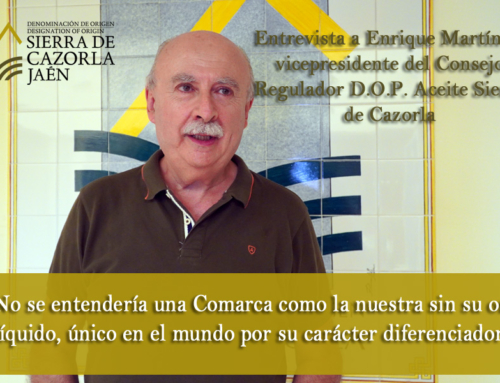 Entrevista a Enrique Martínez, vicepresidente del Consejo Regulador de la D.O.P. Aceite Sierra de Cazorla