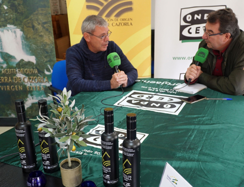 Los aceites de la DOP Sierra de Cazorla en los micrófonos de Onda Cero Jaén